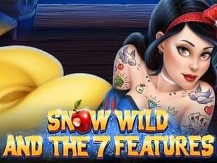 Snow Wild And The 7 Features game icon